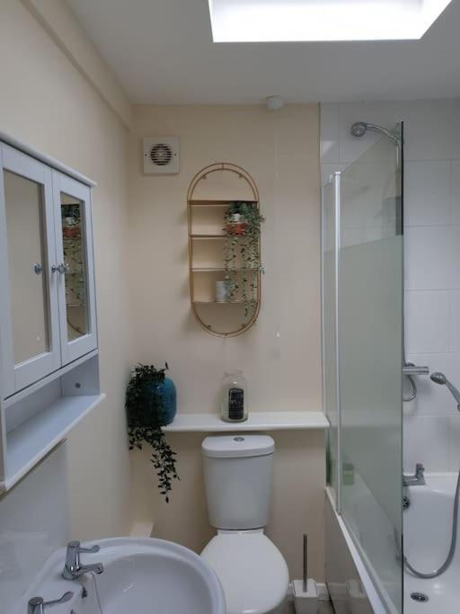Two Bed Flat Sea View Old Town Hastings Appartement Buitenkant foto